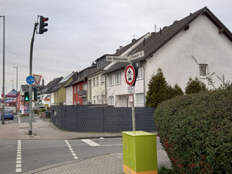Koeln Poll
